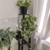 استند مینیمال مدرن گل