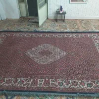 فرش دستبافت ۶متری|فرش|زنجان, |دیوار