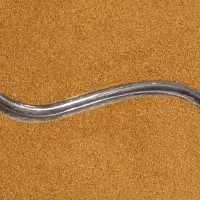 خاکشیر بوجاری شده تمیز بدون خاک و سبزک تمیز|خوردنی و آشامیدنی|تهران, سردارجنگل|دیوار