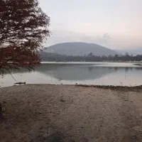 اجاره-زمین-در-کمربندی-شمالی-قایمشهر