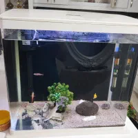 اکواریوم لمسی