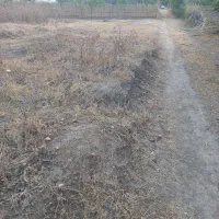 یک عددزمین باقیمت خوب بفروش میرسد|فروش دفتر صنعتی، کشاورزی، تجاری|فاضل آباد, |دیوار