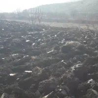 خدمات کشاورزی با تراکتور باغی|خدمات باغبانی و درختکاری|ارومیه, |دیوار