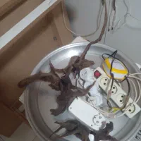 فیلتر سطلی آکواریوم و پمپ هوا|ماهی|محمدیه-قزوین, |دیوار