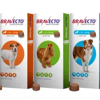 ضد کک و کنه سگ براوکتو