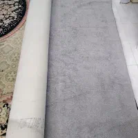 موکت پالاز