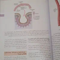 نسخه فارسی فیزیولوژی پزشکی گایتون و هال|کتاب و مجله آموزشی|قم, صفاشهر|دیوار