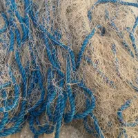 تور|ماهیگیری|کازرون, |دیوار