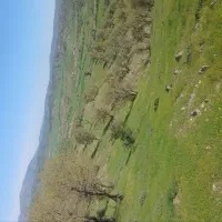 زمین هواره برزه