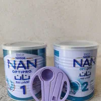 قوطی