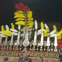 علامت یازده تیغه