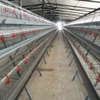 قفس مرغ تخمگذار