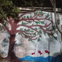 کمپ ترک اعتیاد طلوع دوباره...با کمترین قیمت|خدمات آرایشگری و زیبایی|تهران, بریانک|دیوار