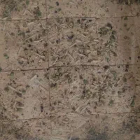 پنیر تبریزی و لیقوان|خوردنی و آشامیدنی|ری, شهرک نظامی|دیوار