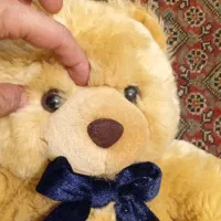 عروسک خرس|اسباب‌بازی بچه|تهران, کامرانیه|دیوار