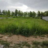زمین-در-شمال-رشت