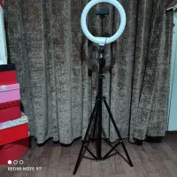 رینگلایت