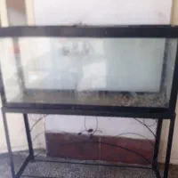 آکواریوم بزرگ شیک وسالم به پایه مخصوص خودش|ماهی|دامغان, |دیوار