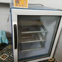 دستگاه جوجه کشی