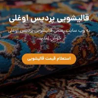طراحی سایت محلی پولساز|خدمات رایانهای و موبایل|تهران, یوسفآباد|دیوار