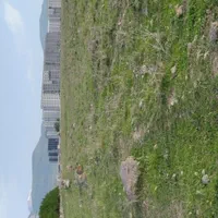 فروش زمین جای سرمایه گذاری پشت آرد سازی نزدیک جاد|فروش زمین و ملک کلنگی|مشگین شهر, |دیوار