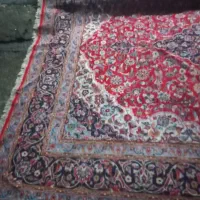 دو عدد فرش|فرش|خوی, |دیوار