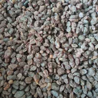 کشمش آفتابی اصل بوانات عمده