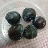 آلو شابلون