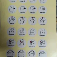 لیبل شیتی میقولی و شیتی عروسکی