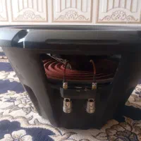 sab|کلکسیون و سرگرمی|الشتر, |دیوار