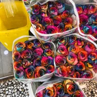 استخدام ادمین اینستاگرام/ورامین|استخدام رایانه و فناوری اطلاعات|ورامین, ورامین|دیوار