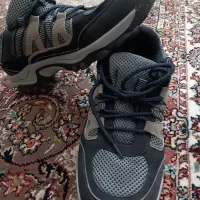 کفش|کیف، کفش، کمربند|ابهر, |دیوار