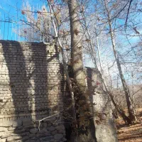 خریدفروش چوب قطع وبرش درخت هرس کاری|خدمات باغبانی و درختکاری|مشهد, توس (بلوار توس)|دیوار