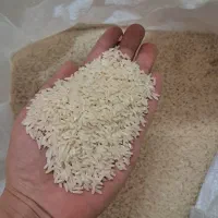 برنج هاشمی درجه ۱|خوردنی و آشامیدنی|ری, ظهیرآباد|دیوار