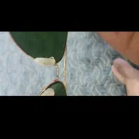 عینک روبین|زیورآلات و اکسسوری|اسلامشهر, باغ فیض|دیوار