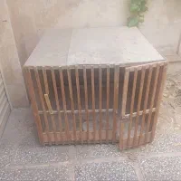 لانه مرغ و خروس