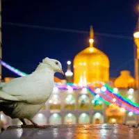 سفر زیارتی مشهد مقدس مهر ماه