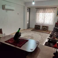 اجاره روزانه/آپارتمان ۶۰ متری/ تک خوابه|اجارهٔ کوتاه‌مدت آپارتمان و سوئیت|رضوانشهر, |دیوار