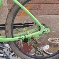 دوچرخه جاینت کلکسیونی ترمز پایی