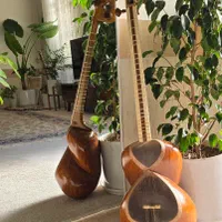 تار حرفه ای