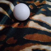 سنگ اسیاب
