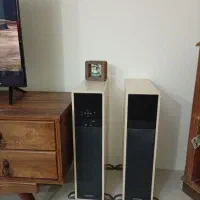 اسپیکر دارای فلش و بلوتوث