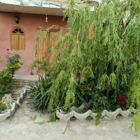نیازمند نیروی خانم