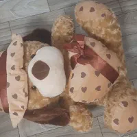 عروسک خرسی|اسباب‌‌بازی|رشت, معلم|دیوار