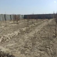 باغچه 560متری با سندو چه دیواره شده