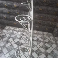 جاگلدونی یازده تایی