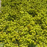 غور و آبغوره درجه یک کوار|خوردنی و آشامیدنی|شیراز, وحدت|دیوار