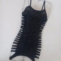 فیشنت دامنی