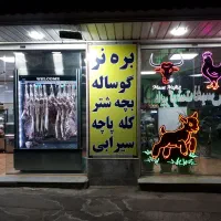 همکارآقا مرغ پاک کن یا قصاب