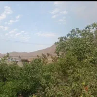 فروش زمین